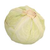 White Cabbage 3D Scan Retopo